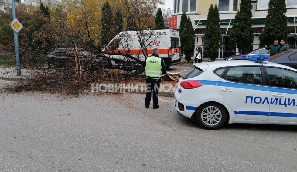 Шофьор причини тежка катастрофа в Пловдив и избяга от местопроизшествието Сигналът